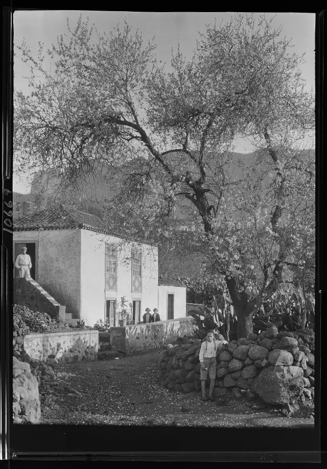 Casa enjalbegada con remates amarillos, rodeada de árboles